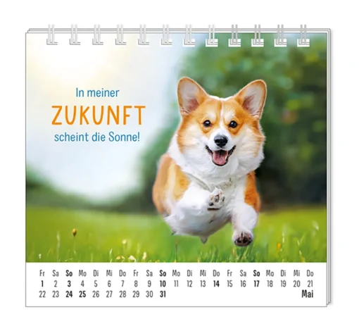 Mini Kalender "Happymacher" 2026 von Grafik Werkstatt, Monat Mai