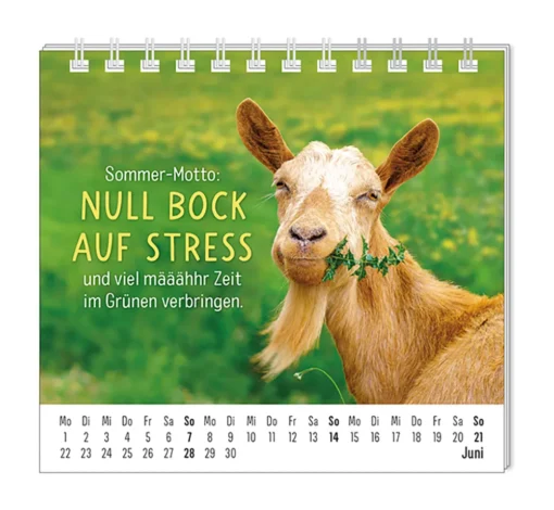Mini Kalender "Happymacher" 2026 von Grafik Werkstatt, Monat Juni
