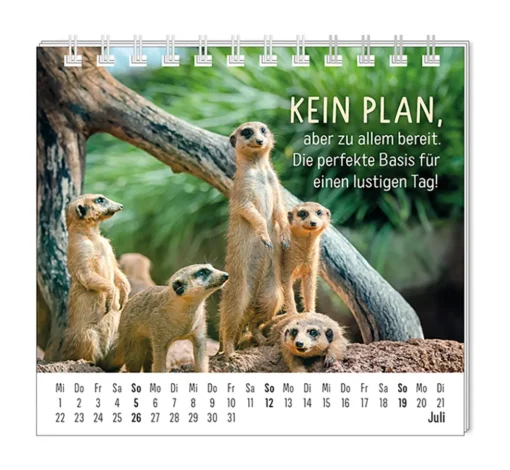 Mini Kalender "Happymacher" 2026 von Grafik Werkstatt, Monat Juli
