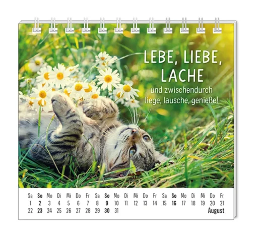 Mini Kalender "Happymacher" 2026 von Grafik Werkstatt, Monat August