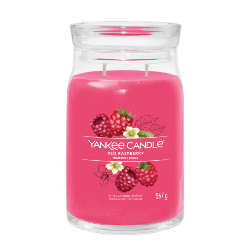 Yankee Candle Duftkerze - Red Raspberry, großes Glas
