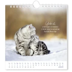 Postkartenkalender 