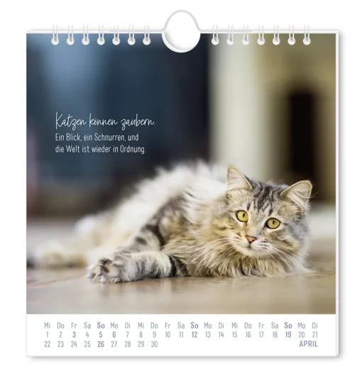 Postkartenkalender "Auf leisen Pfoten" 2026 – Grafik Werkstatt