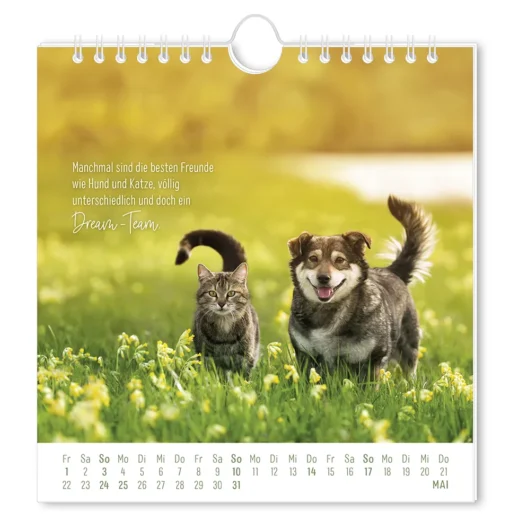Postkartenkalender "Auf leisen Pfoten" 2026 – Grafik Werkstatt