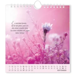 Postkartenkalender 