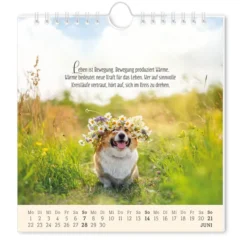 Postkartenkalender 