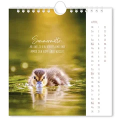 Postkartenkalender 