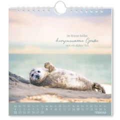 Postkartenkalender 