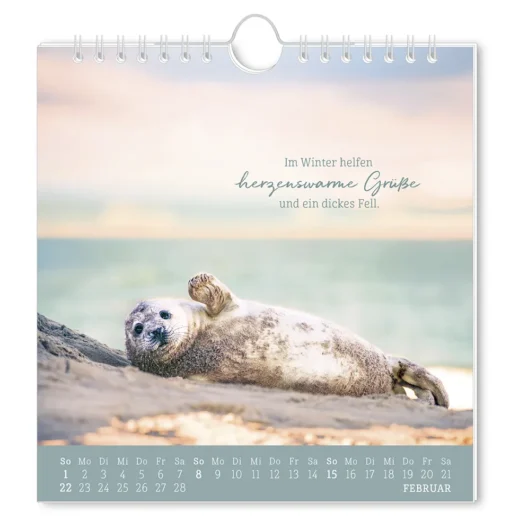 Postkartenkalender "Strandgut" 2026 – Grafik Werkstatt