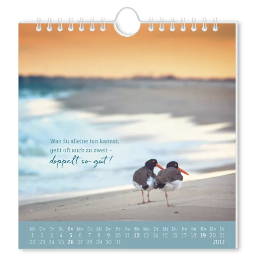 Postkartenkalender "Strandgut" 2026 – Grafik Werkstatt