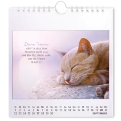 Postkartenkalender 