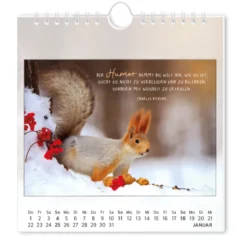 Postkartenkalender 