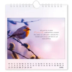Postkartenkalender 