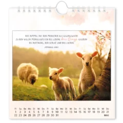 Postkartenkalender 