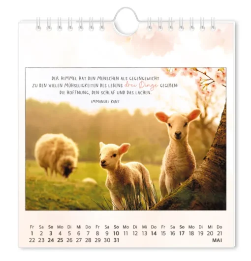 Postkartenkalender "Traumtage" 2026 – Grafik Werkstatt