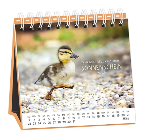Tischkalender "Happymacher" 2026 – Grafik Werkstatt