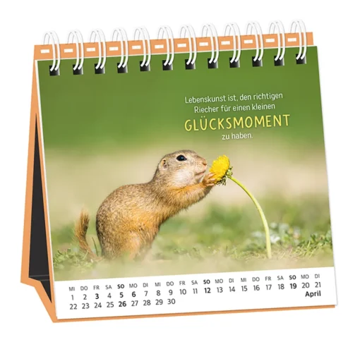 Tischkalender "Happymacher" 2026 – Grafik Werkstatt