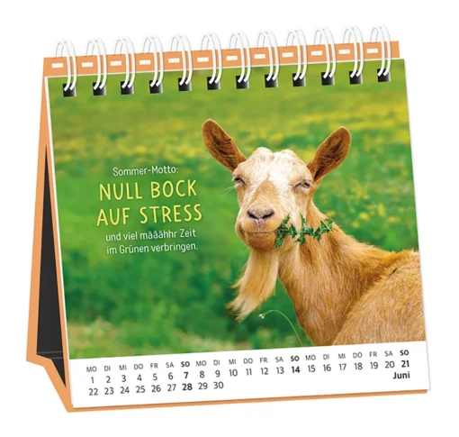 Tischkalender "Happymacher" 2026 – Grafik Werkstatt