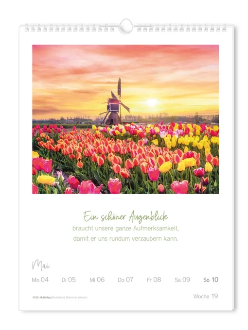 Wochenkalender "LebensWeisheiten" 2026 – Grafik Werkstatt