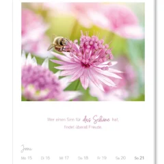 Wochenkalender 