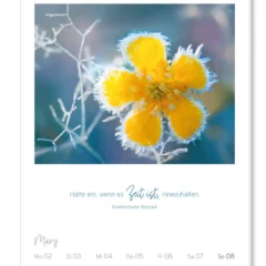 Wochenkalender 