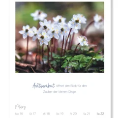 Wochenkalender 