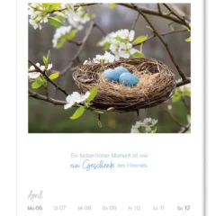 Wochenkalender 