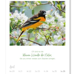 Wochenkalender 