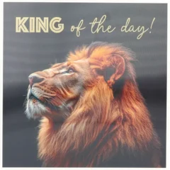 3D Musikkarte "King of the day!"