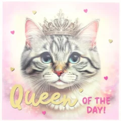 3D Musikkarte "Queen of the day!"