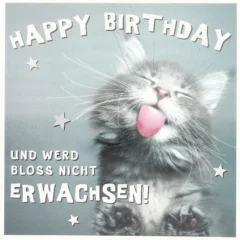 3D Musikkarte "Happy Birthday und werd bloss nicht Erwachsen"