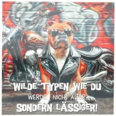 3D Musikkarte "Wilde Typen wie du werden nicht älter"